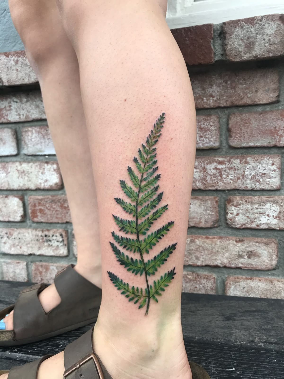 Realistic Green Fern Leg Tattoo Tattoo Design