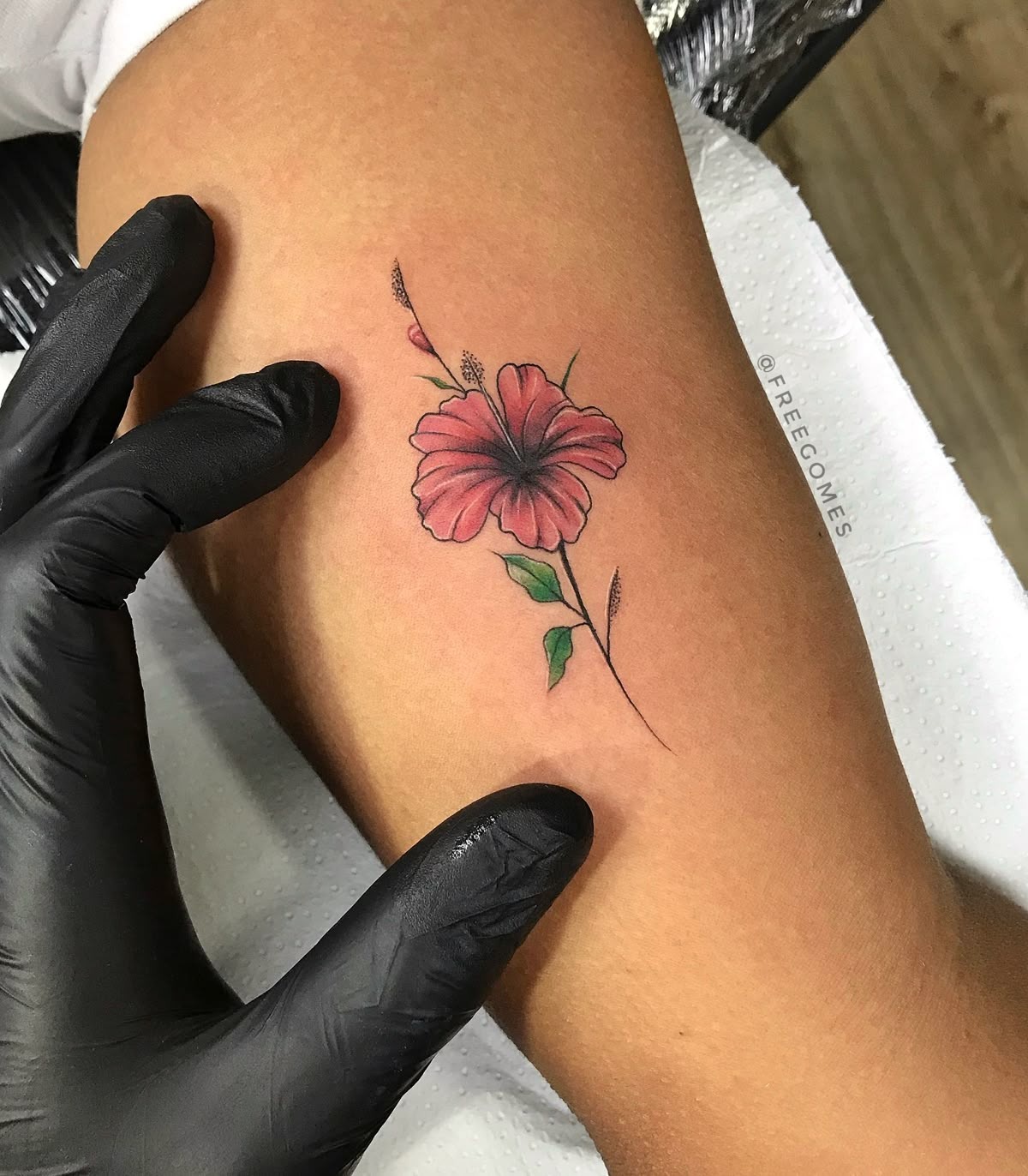 Framed Hibiscus Sketch Tattoo Design