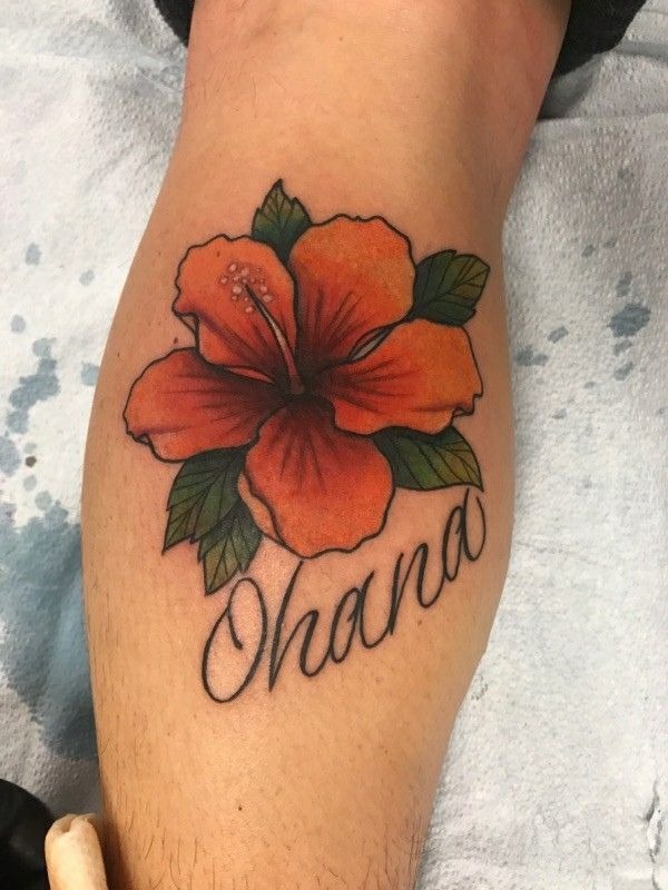 Pink Hibiscus With Ferns Tattoo Design