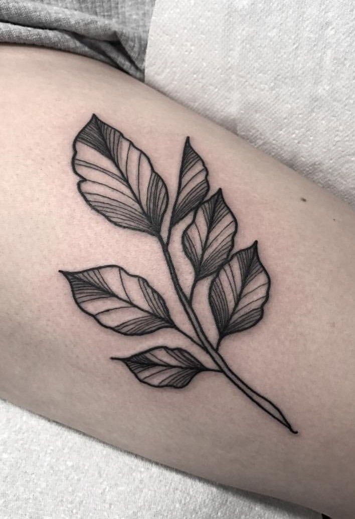 Black Ink Foliage on Arm Tattoo Design