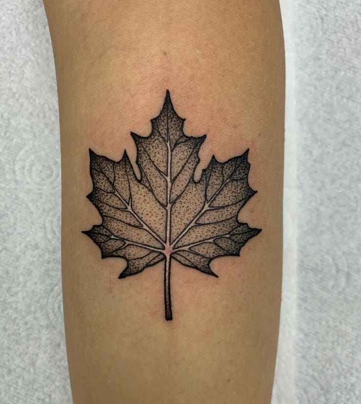 Canadian Maple Dotwork Tattoo Design
