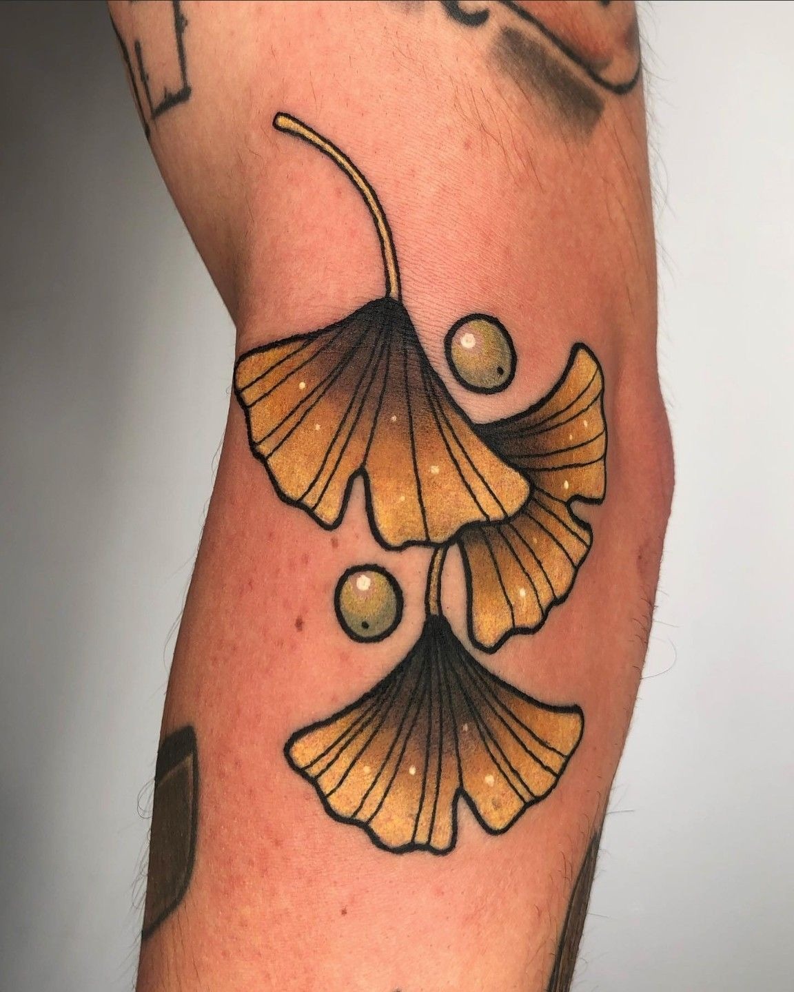 Ginkgo Leaves with Glossy Detail Tattoo Design