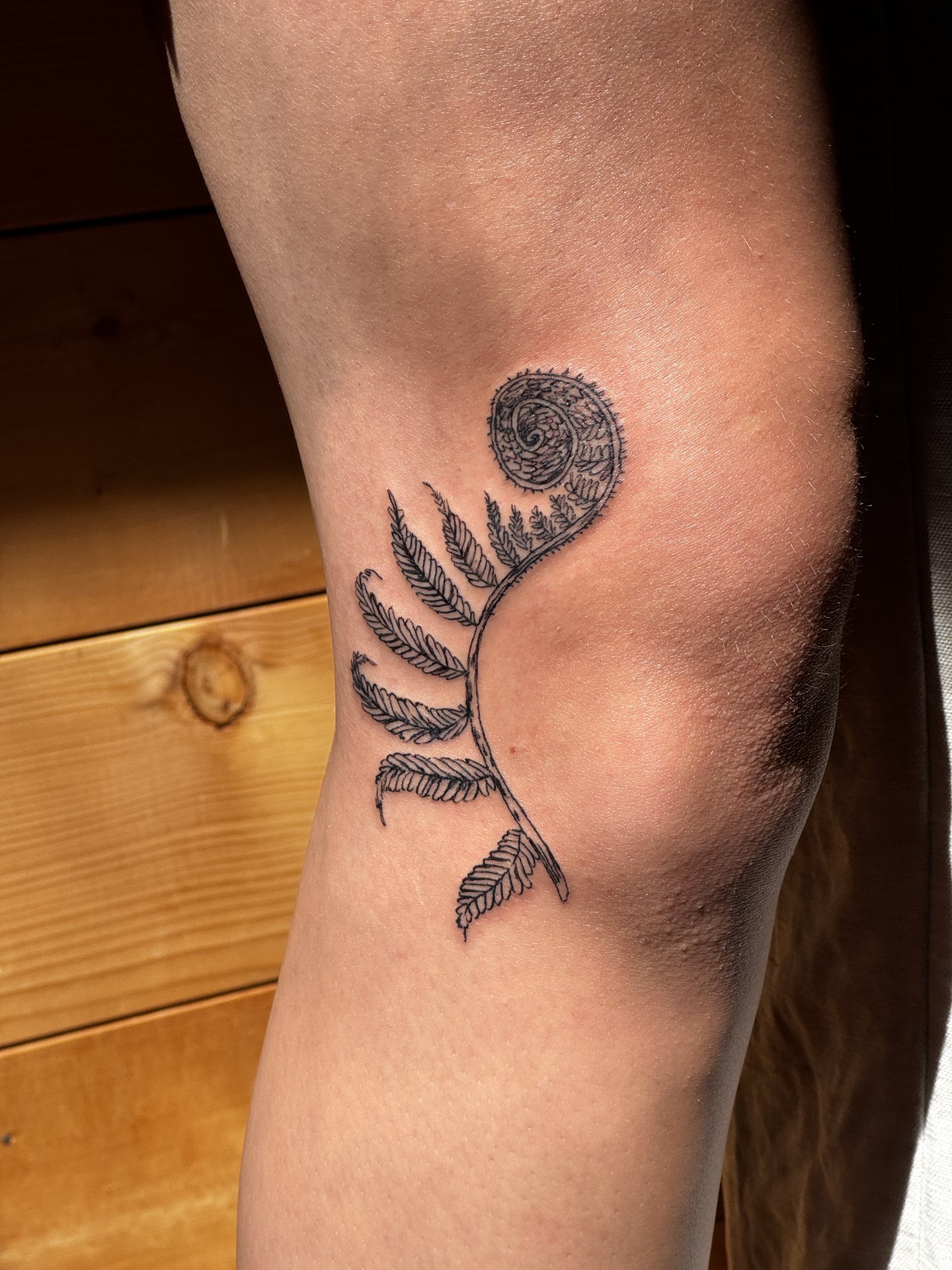 Fern Frond Tattoo Tattoo Design