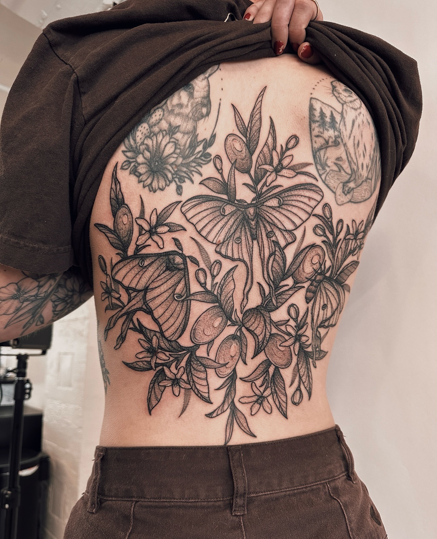 Moth and Olive Branch Back Tattoo Tattoo Design