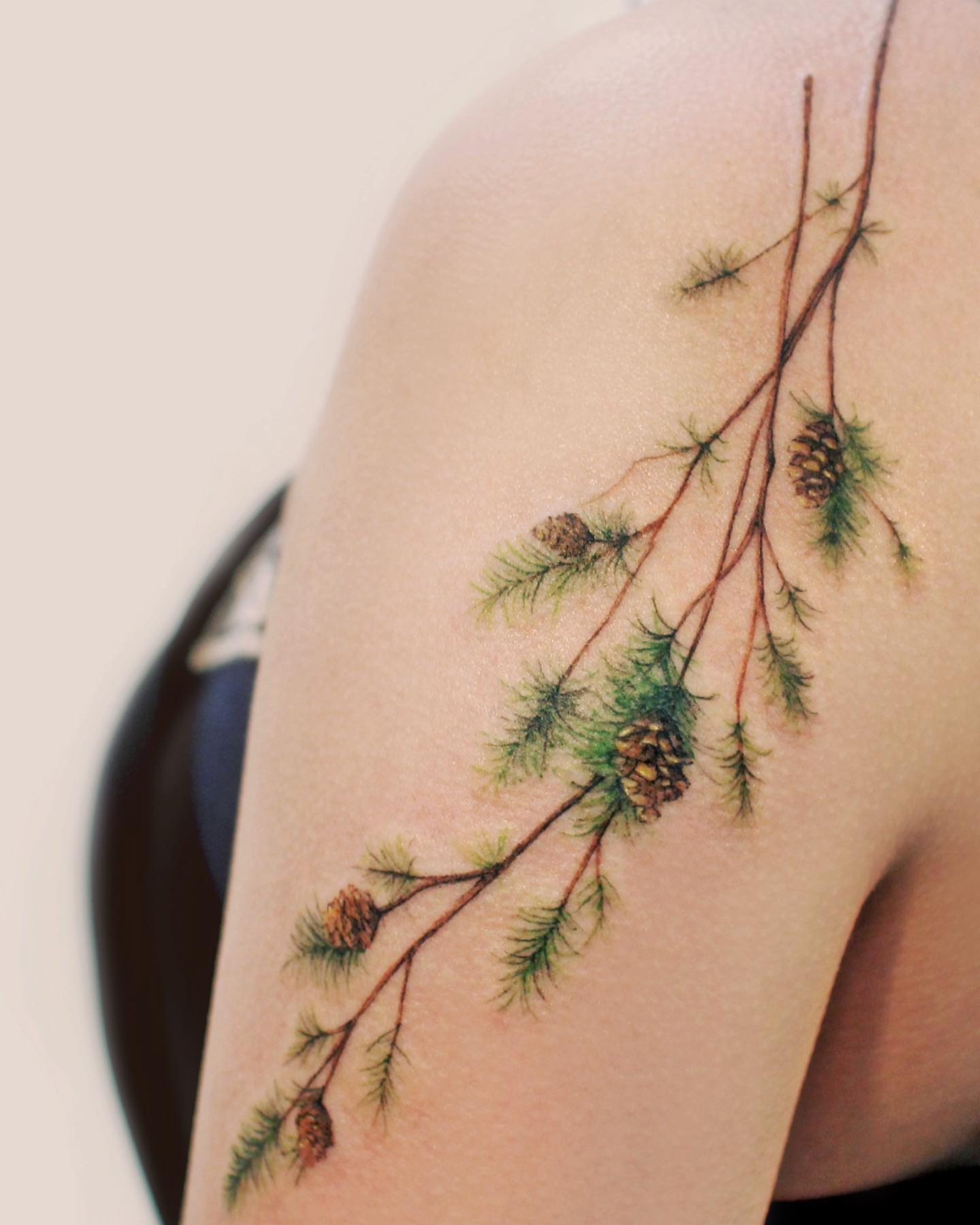 Pine Branch Shoulder Tattoo Tattoo Design