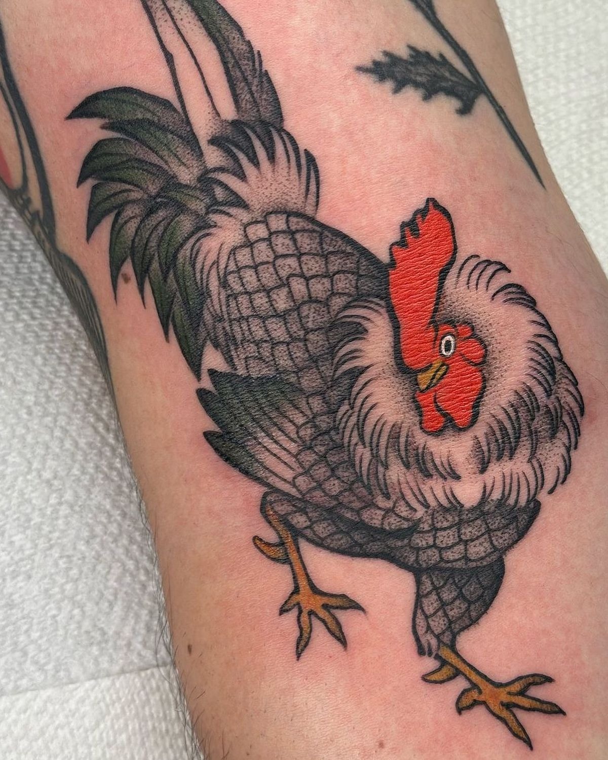 Playful traditional Rooster With fluffy neck Tattoo Design