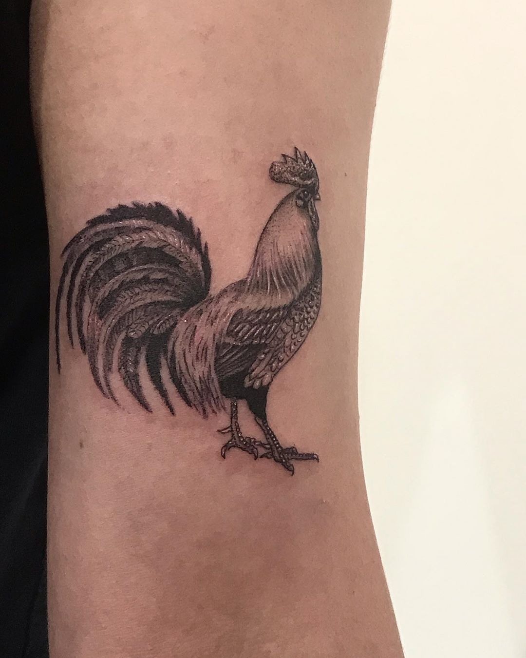 Softly shaded realistic rooster with stuff real spring Tattoo Design