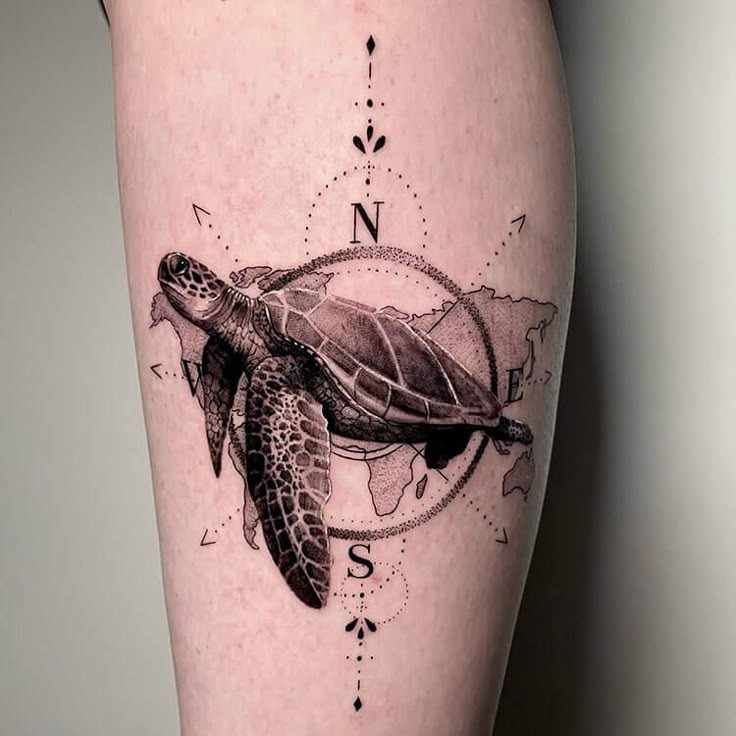 The piece depicts a realistic swimming sea turtle moving across a map of the world within the frame of a navigational compass.