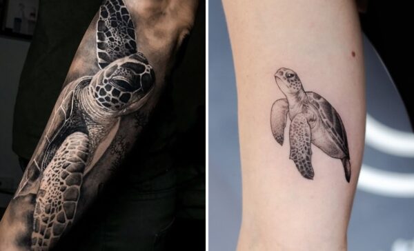 Sea Turtle Tattoo Ideas With Striking Visual Contrast