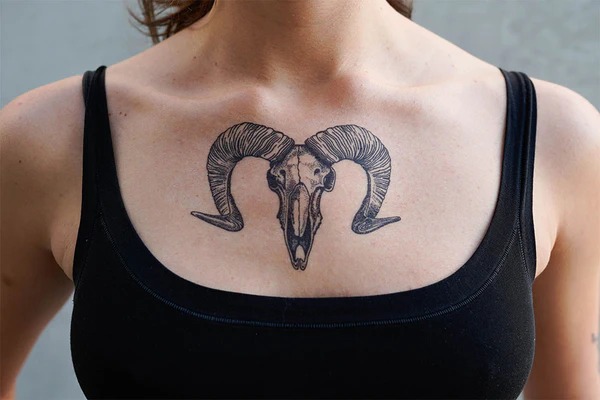 Ram Skull Chest Tattoo Tattoo Design