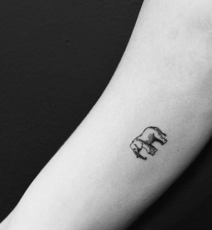 This small elephant walking on the forearm is a perfect example of a minimal and fine-line tattoo.