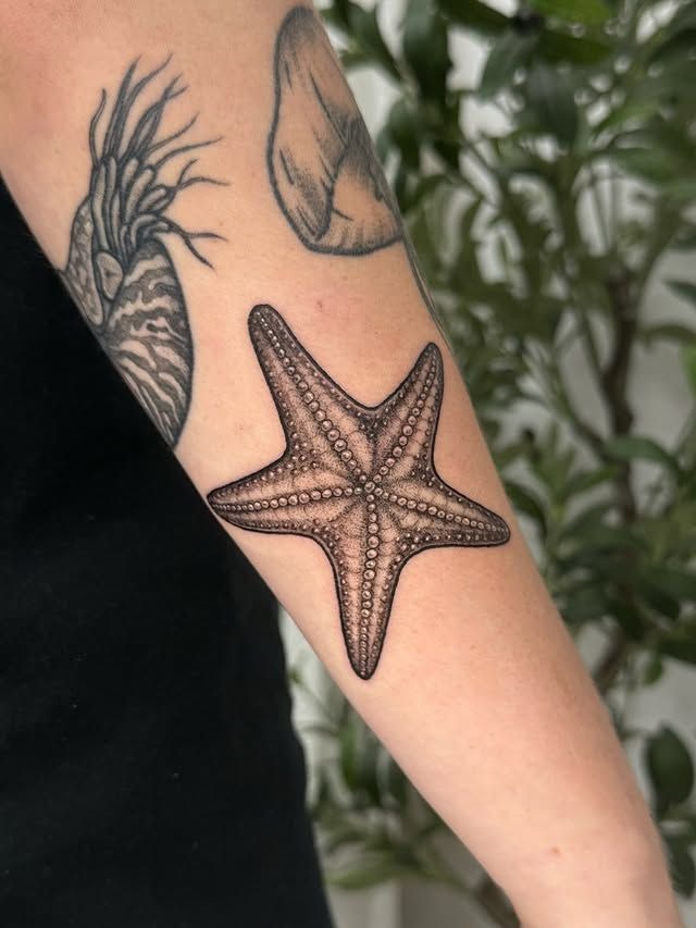 Bright Red and Blue Cluster Starfish Tattoo Tattoo Design