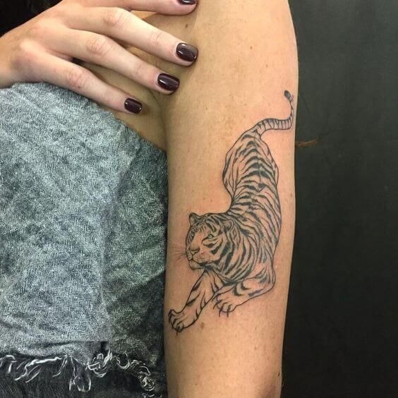 Minimalist Tiger Outline Tattoo Design