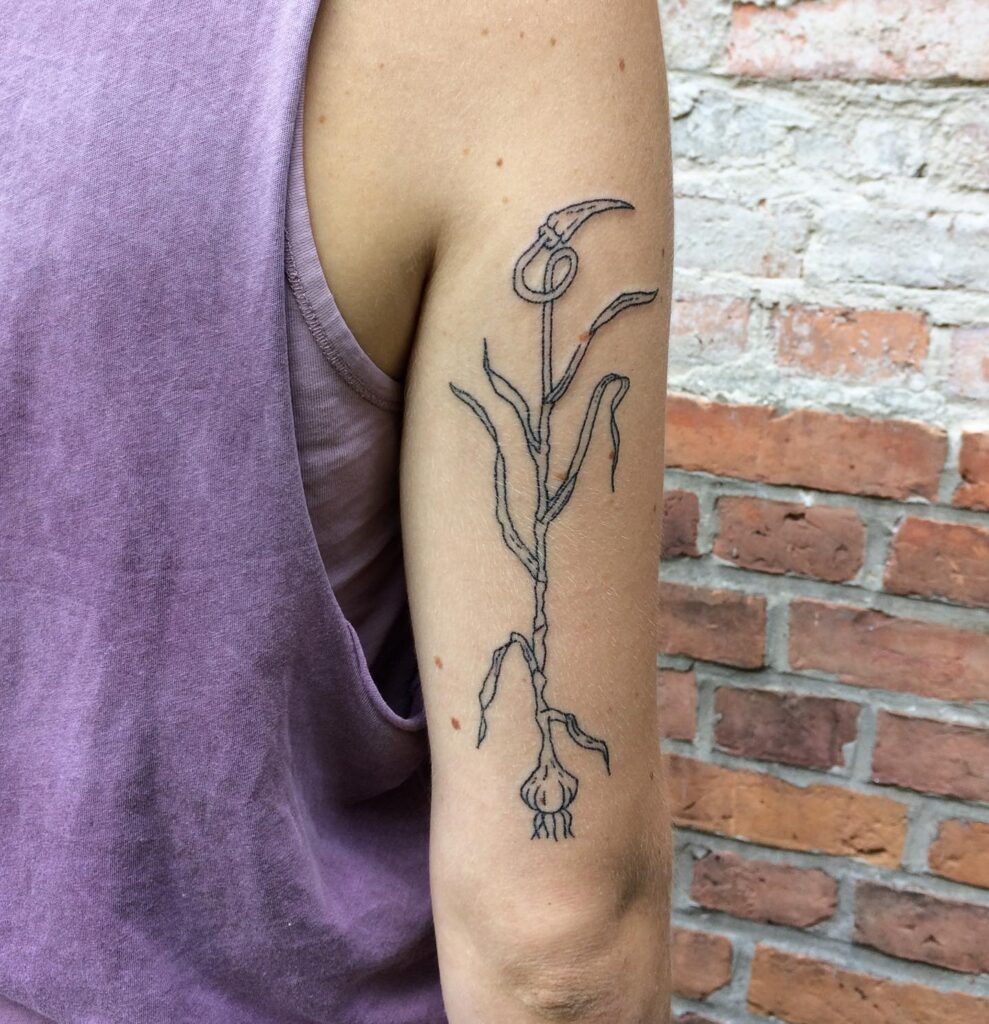 Minimalist Botanical Garlic Tattoo Tattoo Design