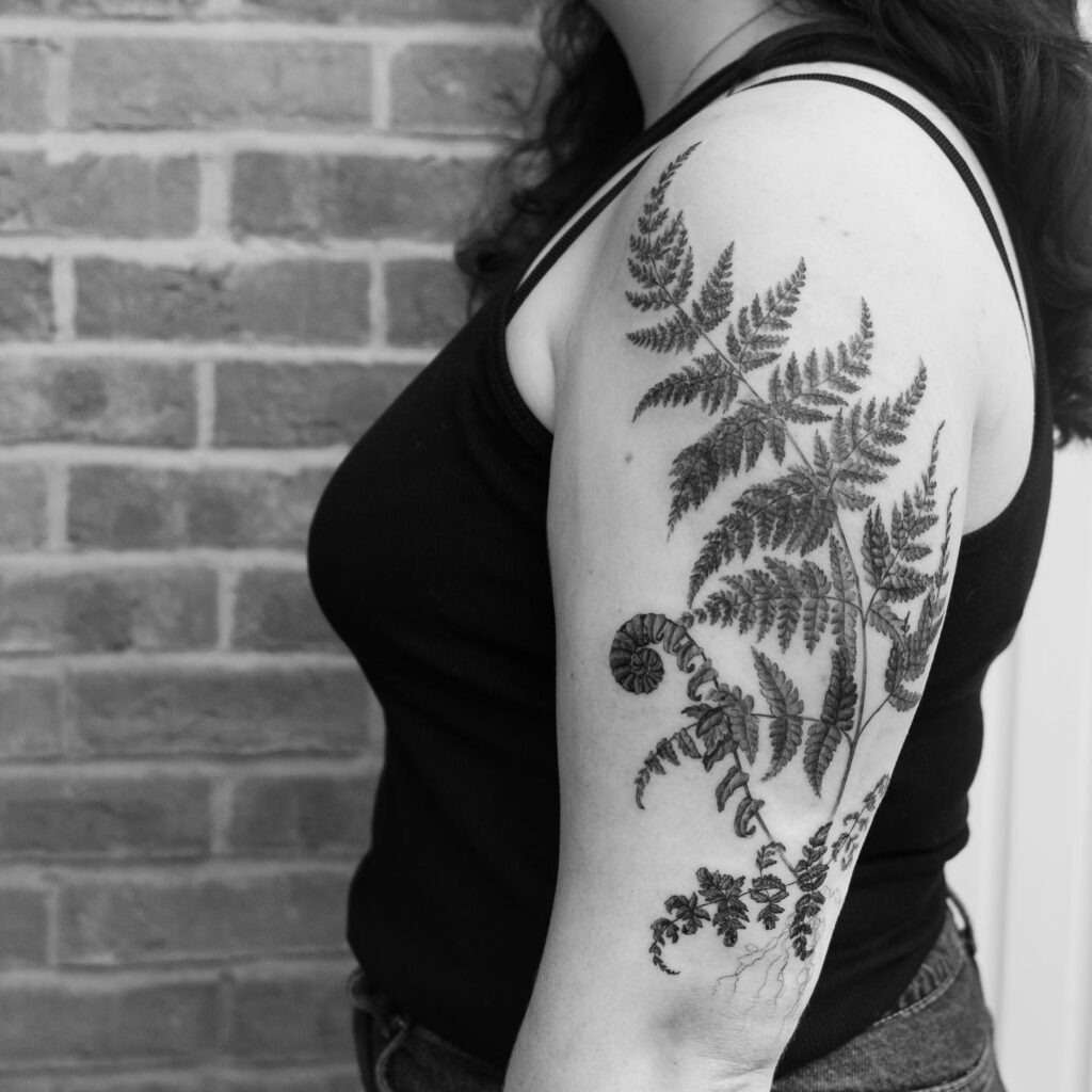 Realistic Ferns Upper Arm Tattoo Tattoo Design