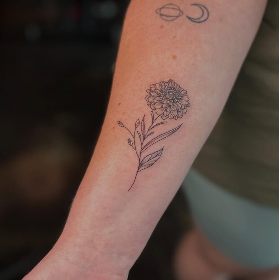 Elegant zinnia tattoo in line art style Tattoo Design